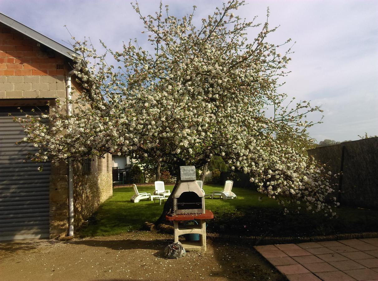 Apartment Aux 3 Loups Châtenois
